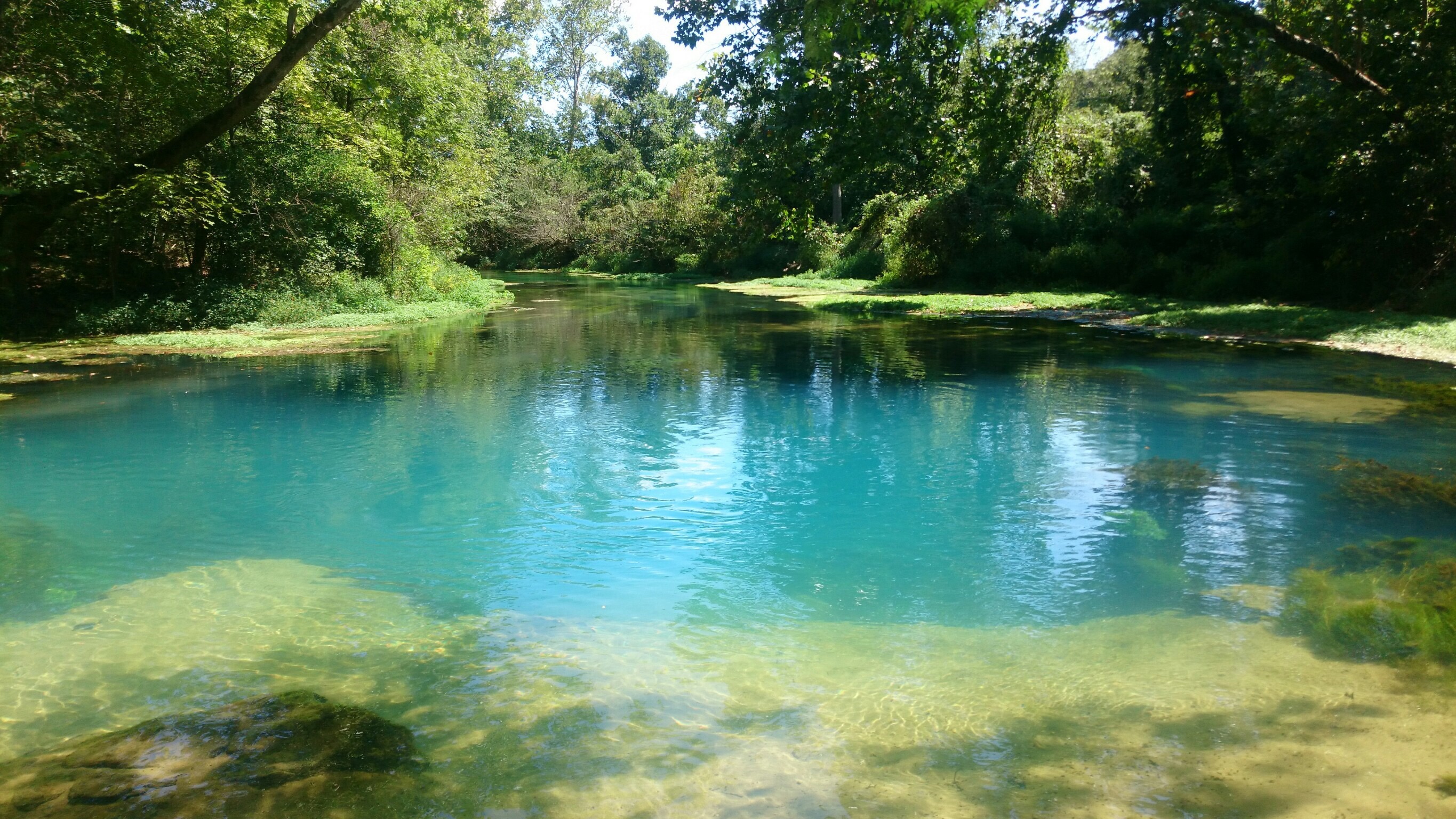 Eleven Point River @Missouri- Canoeing & Kayaking